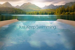 Swim and Wellness Spas Ontario